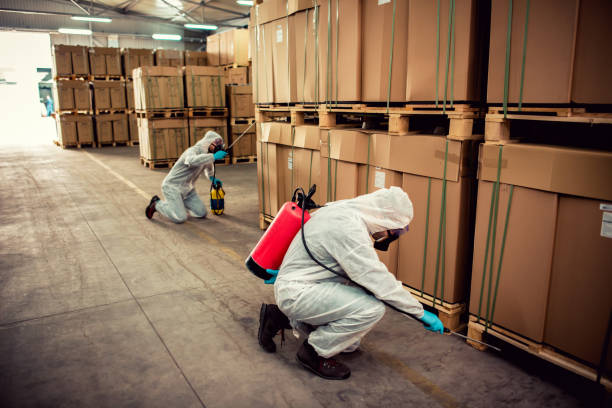 Professional Pest Control in Boyne City, MI