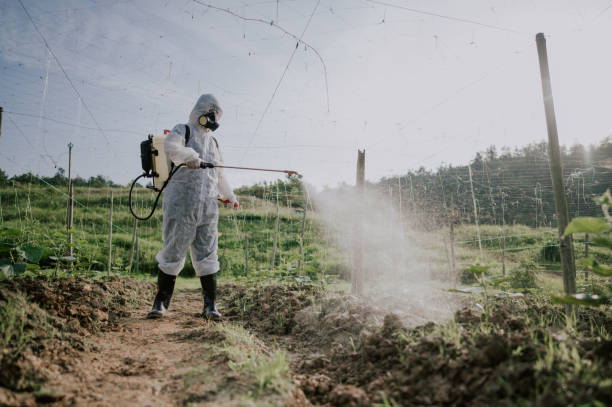 Best Pest Prevention Services  in Boyne City, MI