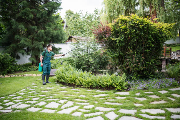 Best Ant Control Services  in Boyne City, MI