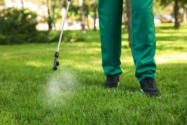 Wildlife Control Services in Boyne City, MI