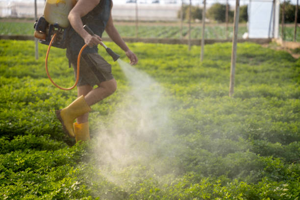Best Mosquito Control Services  in Boyne City, MI