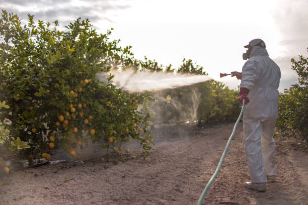 Best Residential Pest Control  in Boyne City, MI