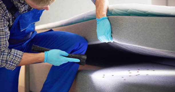 Best Pest Inspection Near Me  in Boyne City, MI
