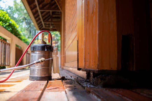 Best Affordable Pest Control Services  in Boyne City, MI