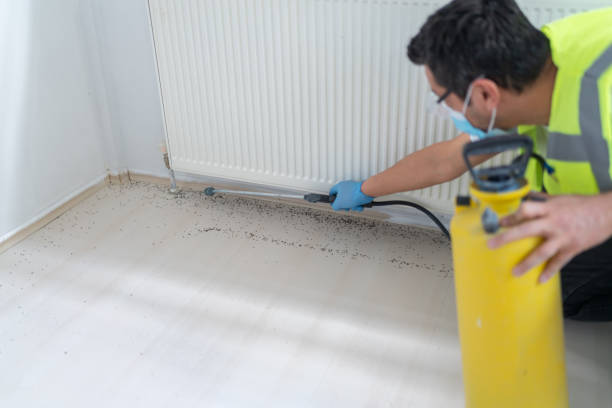Pest Prevention Services in Boyne City, MI