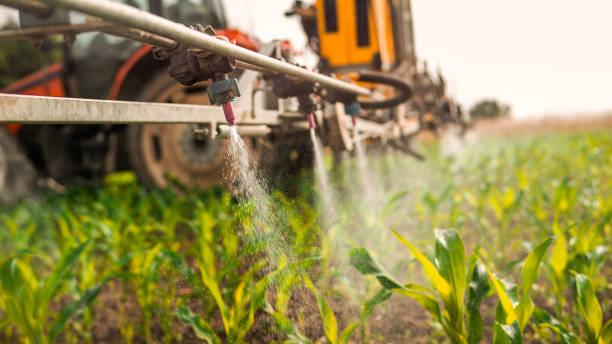 Best Mosquito Control Services  in Boyne City, MI